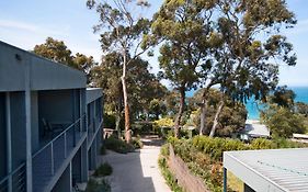 Lorne Surf Apartments